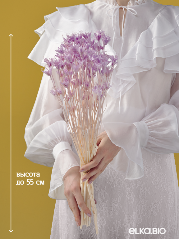 Нигелла светло - сиреневая 50г. Высший сорт. Высота 40-55 см. М407