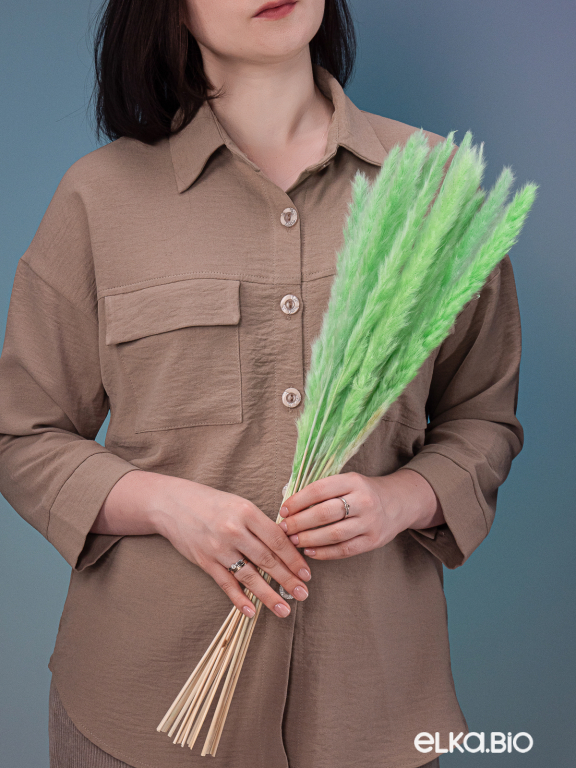 Трава сухоцвет пампас мини 90 шт. салатовый первый сорт