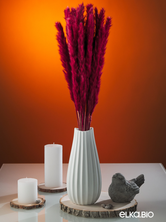 Трава сухоцвет пампас мини 15 шт. бордовый высший сорт