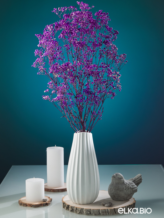 Гипсофила стабилизированная сиреневая 140 гр. высший сорт М166