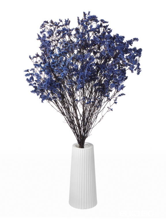 Цветы лимониума синие (80г) М220