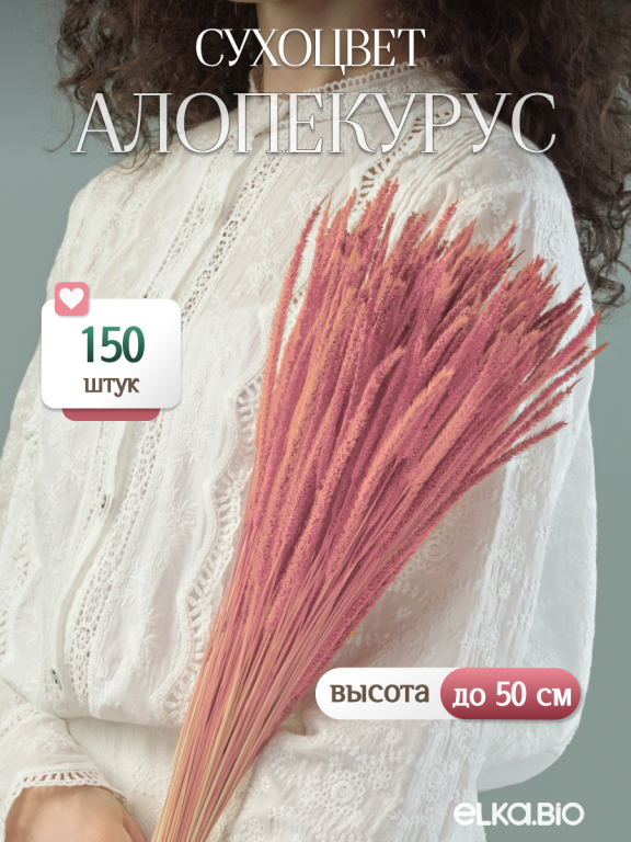 Алопекурус (тимофеевка) розовый 150 шт. Высший сорт - до 50 см  М704