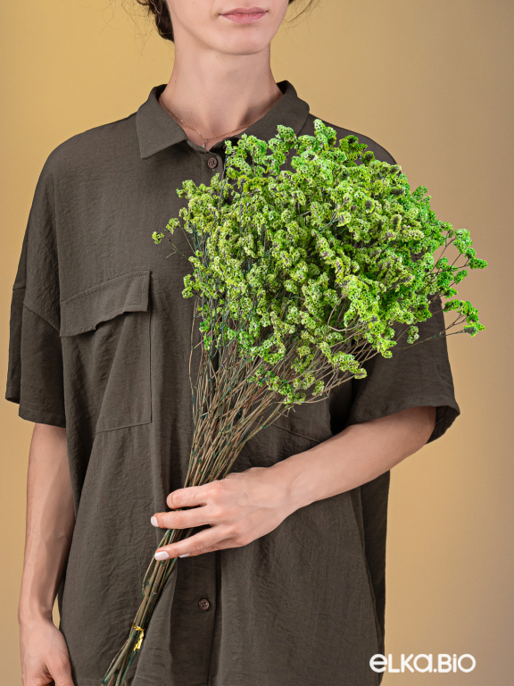 Цветы лимониума зелёные (80г) М217 Цветы лимониума зелёные (80г) М217