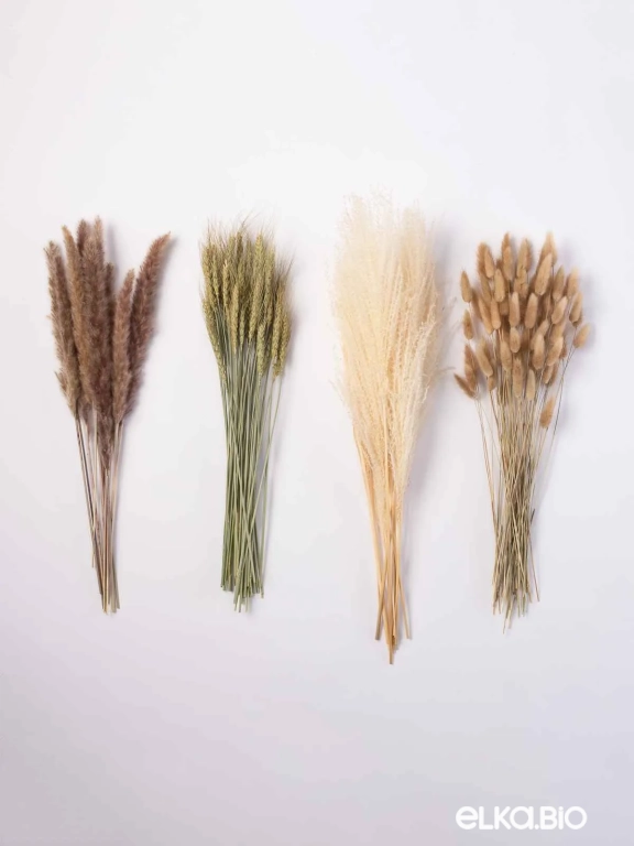 Натуральные сухоцветы для декора. Набор М060