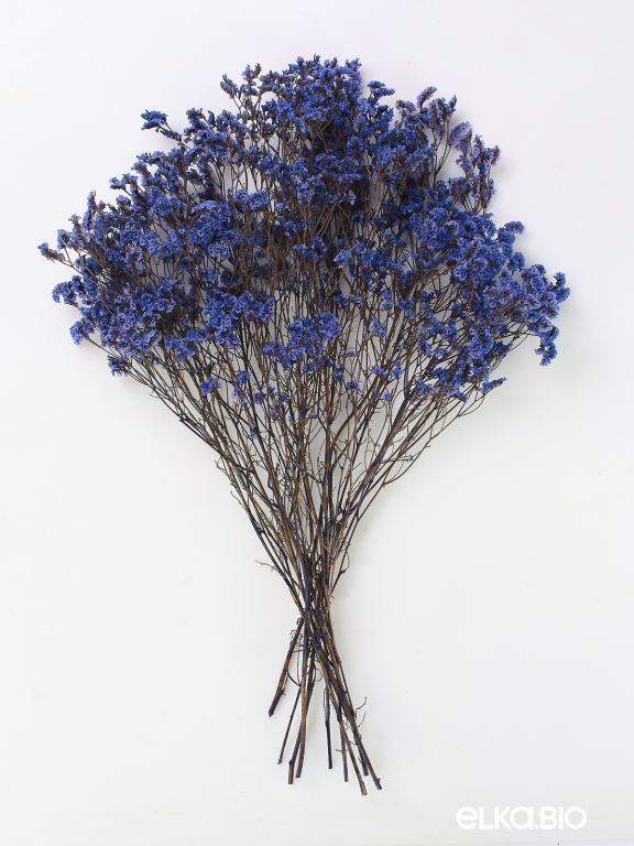 Цветы лимониума синие (80г) М220