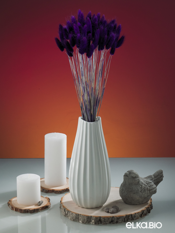 Лагурус фиолетовый высший сорт - 60 шт