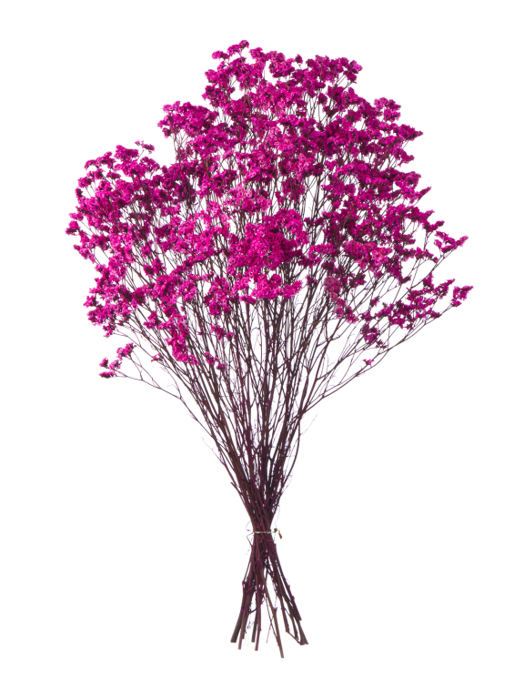 Цветы лимониума фуксия (80г) М222 Цветы лимониума фуксия (80г) М222