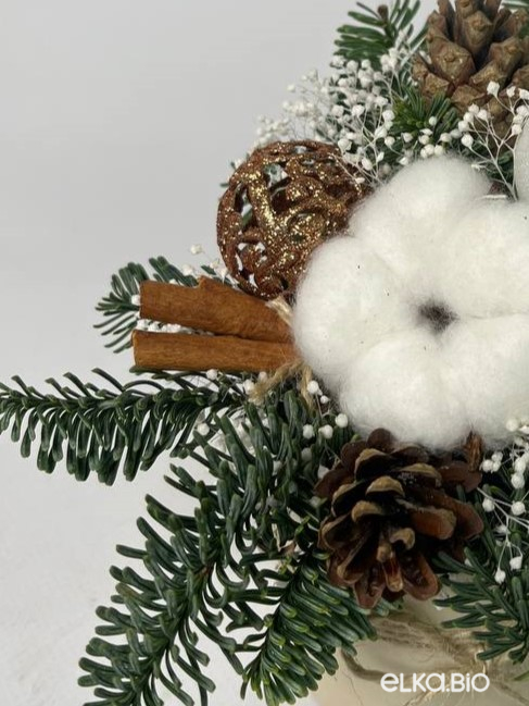 Настольная композиция из Нобилиса с хлопком К2