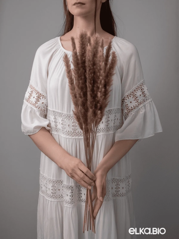 Трава сухоцвет пампас мини 15шт. натуральный высший сорт