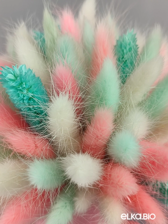 Цветы лагуруса и фаляриса в лейке А102-B100