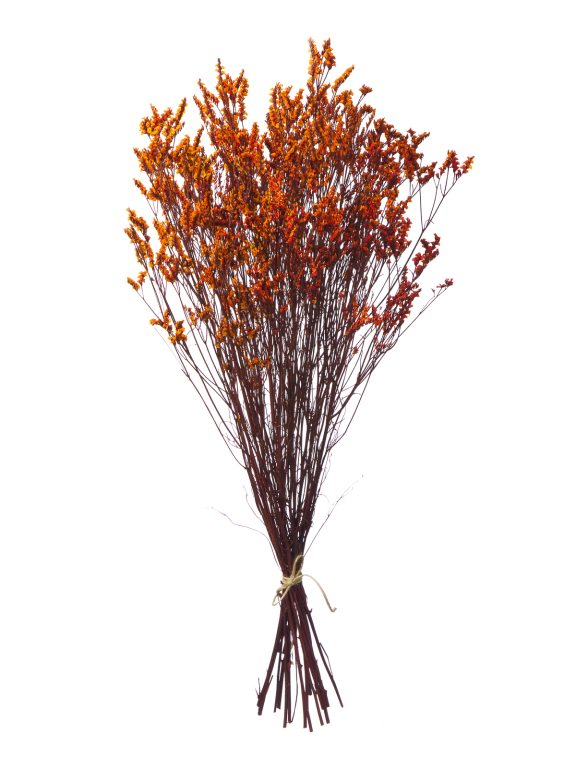 Цветы лимониума оранжевые (80г) М219