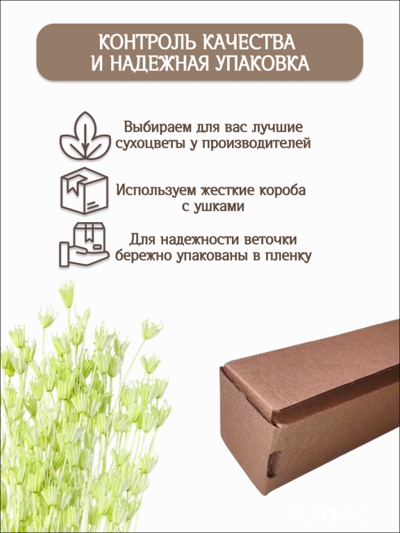 Нигелла ярко - салатовая 50г. Высший сорт. Высота 40-55 см. М729