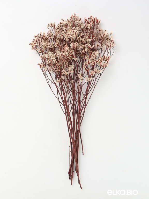 Цветы лимониума белые (80г) М215