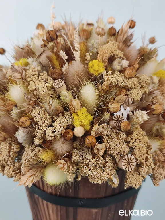 Композиция из пшеницы, лагуруса и тысячелистника Т163-B104