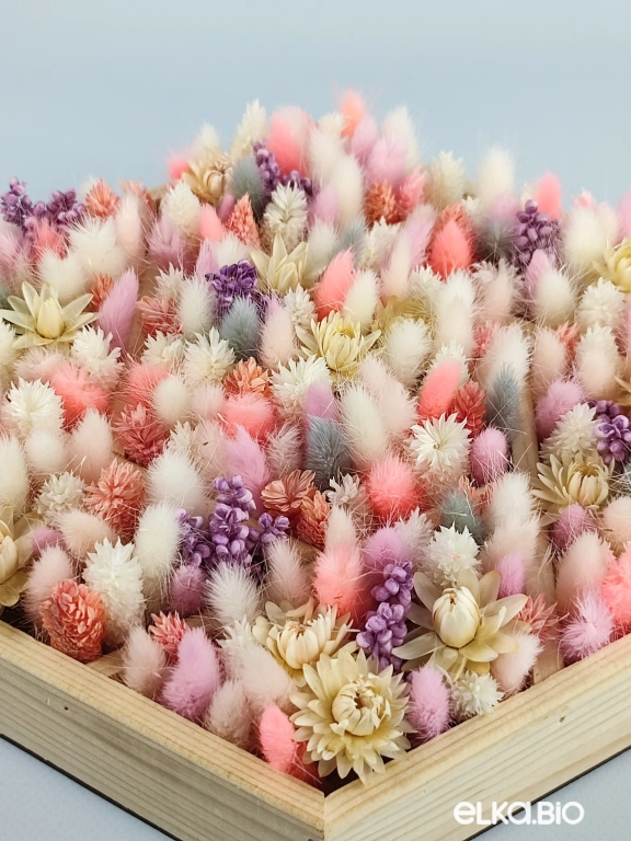 Композиция из лагуруса и фаляриса А130-B103