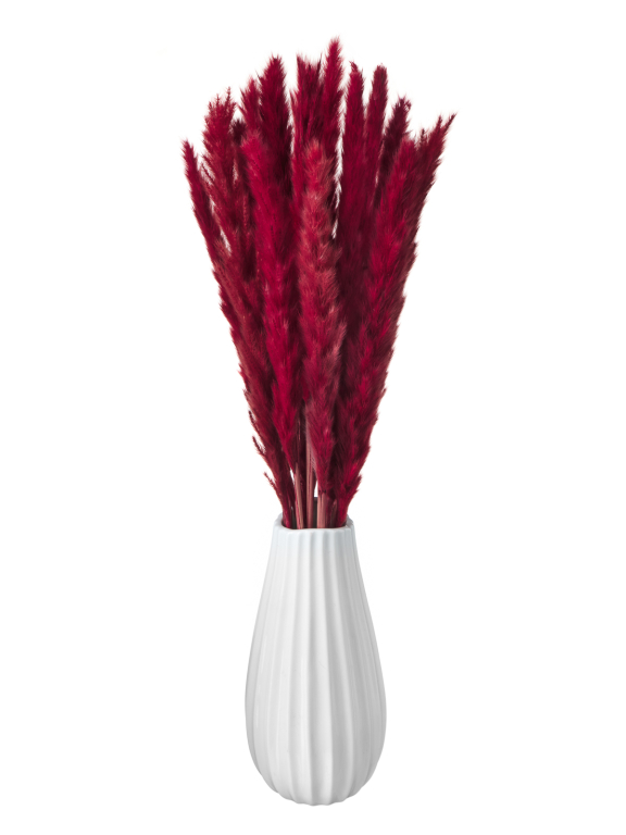 Трава сухоцвет пампас мини 90 шт. бордовый первый сорт