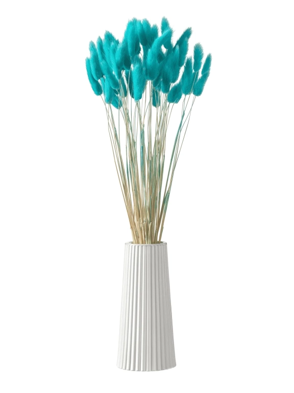 Лагурус ярко-бирюзовый первый сорт - 300 шт