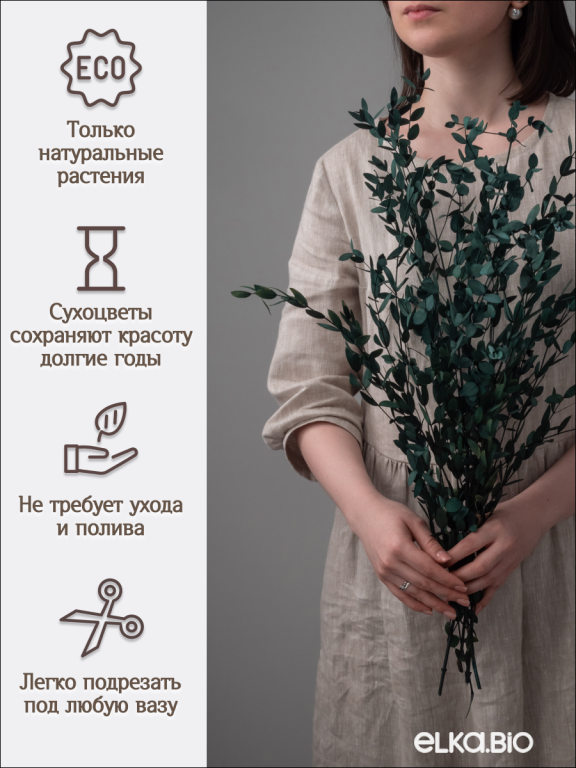 Эвкалипт парвифолия изумрудный  80г Высший сорт М055