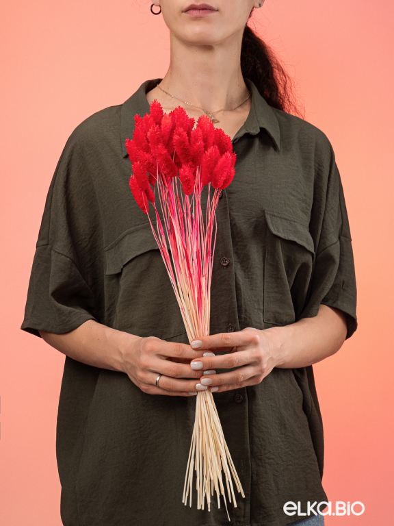 Фалярис красный (40шт) М108