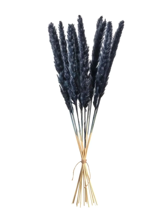 Трава сухоцвет пампас мини 15 шт. черный высший сорт