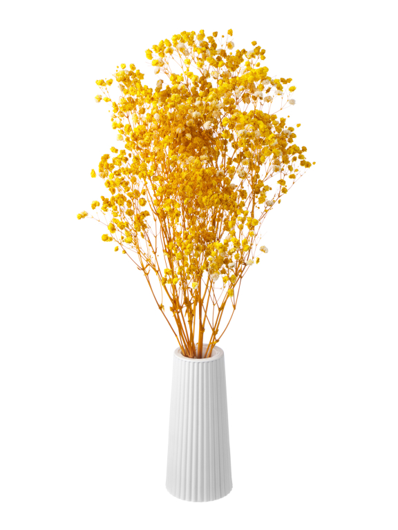 Гипсофила стабилизированная жёлтая 550 гр. первый сорт М5160