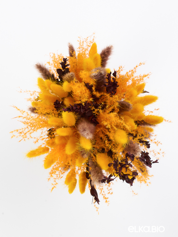 Яркий набор сухоцветов М093