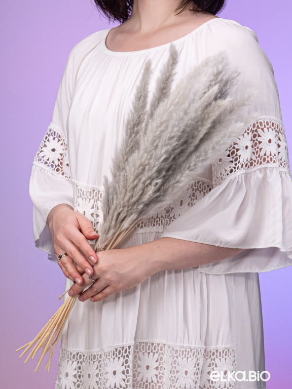 Трава сухоцвет пампас мини 15 шт. серый высший сорт