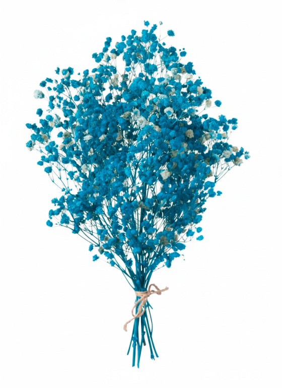 Гипсофила ярко-бирюзовая 50г.  Высший сорт - стабилизированная М627