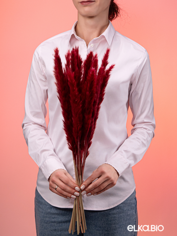 Трава сухоцвет пампас мини 15 шт. бордовый высший сорт