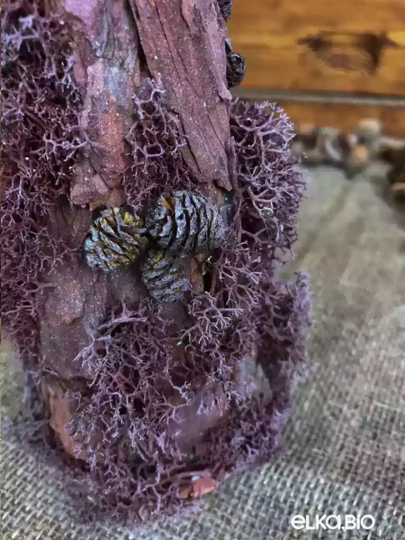 Настольная новогодняя елка из коры и мха Настольная Т33-В4