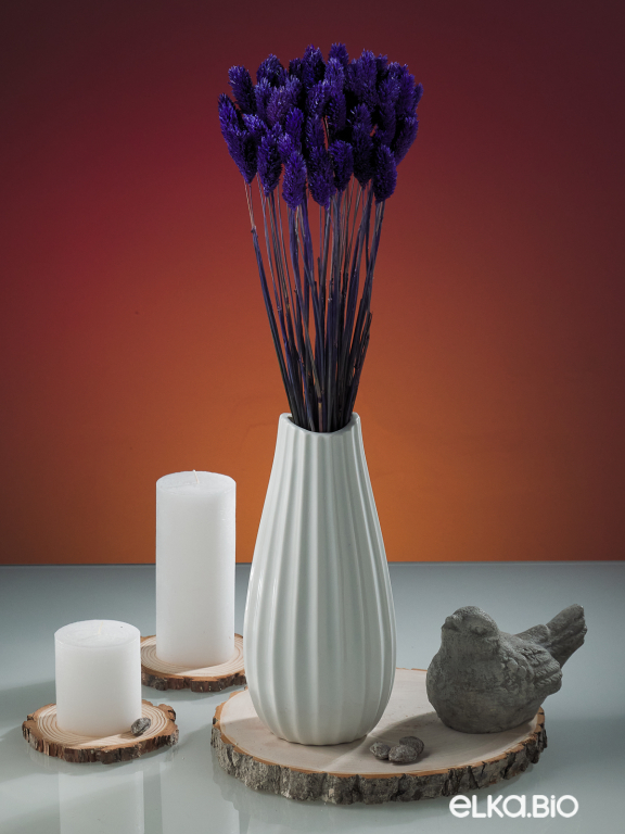 Фалярис тёмно-синий (40шт) М119 Фалярис тёмно-синий (40шт) М119