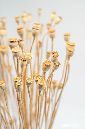 Мак натуральный (40г) М668