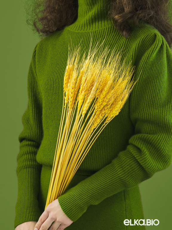 Пшеница желтая 40 шт. Высший сорт М416