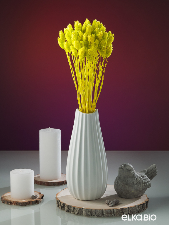 Фалярис салатовый (40шт) М110 Фалярис салатовый (40шт) М110