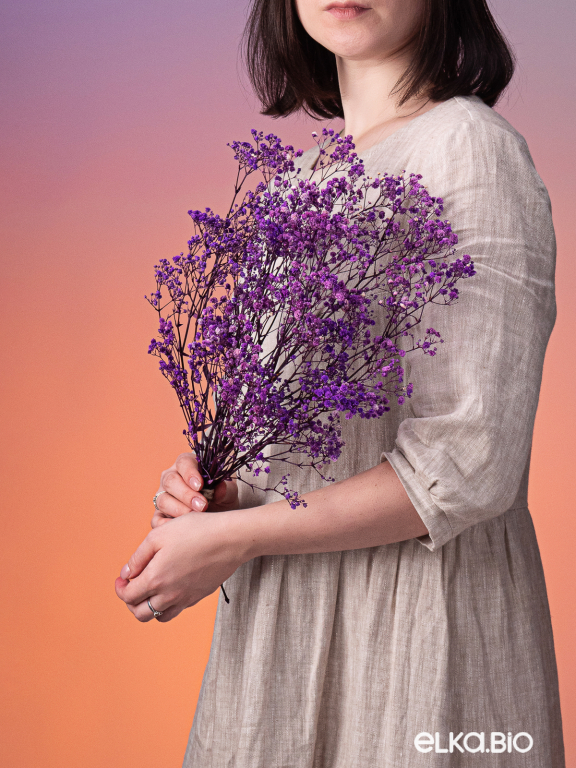 Гипсофила стабилизированная сиреневая 50 гр. высший сорт М178