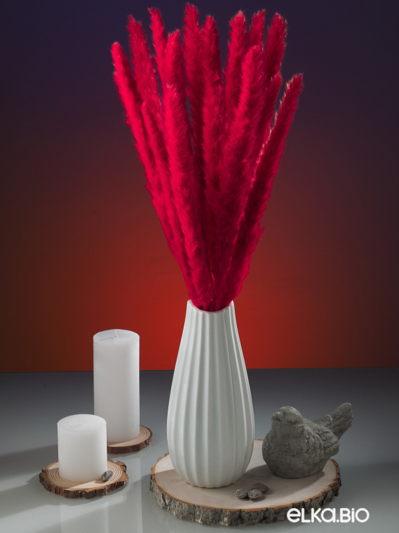 Трава сухоцвет пампас мини 15 шт. высший сорт красный