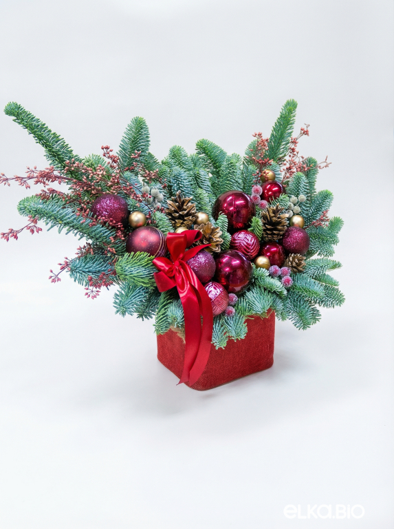 Композиция из пихты Нобилис Королева Виктория К15