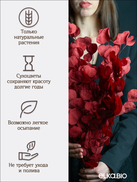 Эвкалипт Популус красный 180г Высший сорт М684