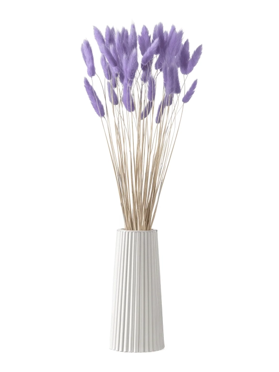 Лагурус сиреневый высший сорт - 60 шт