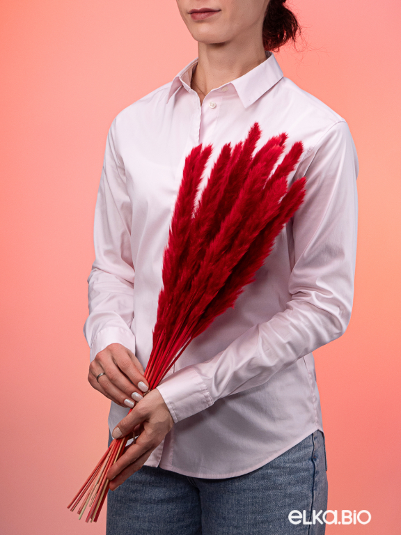 Трава сухоцвет пампас мини 15 шт. тёмно-красный высший сорт