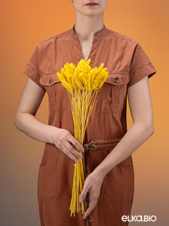 Фалярис жёлтый (40шт) М106