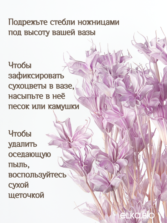 Нигелла светло - сиреневая 50г. Высший сорт. Высота 40-55 см. М407