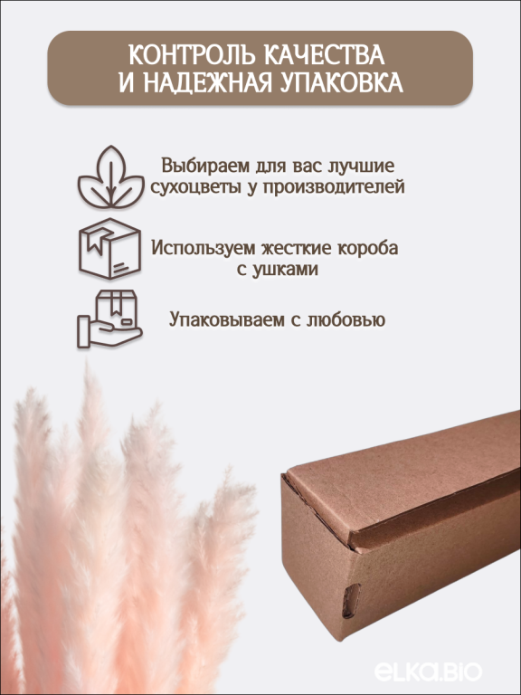 Пампас мини светло-розовый 15 шт. Высший сорт. Высота 40-50 см. М033