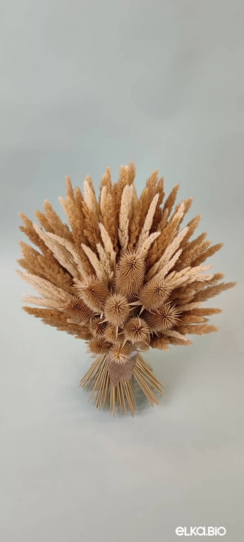 Бежевый букет из вейника и ворсянки Т215-B111