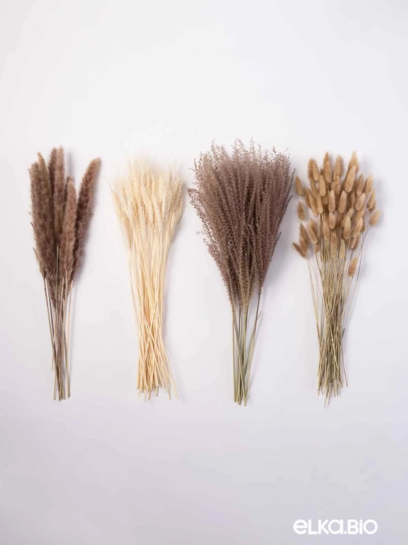 Сухоцветы для декора. Набор М059