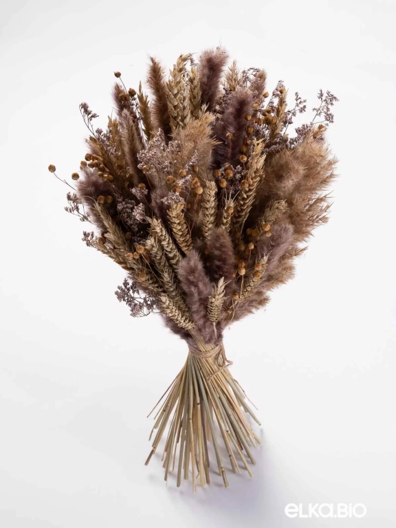 Сухоцветы для декора микс. Набор М064