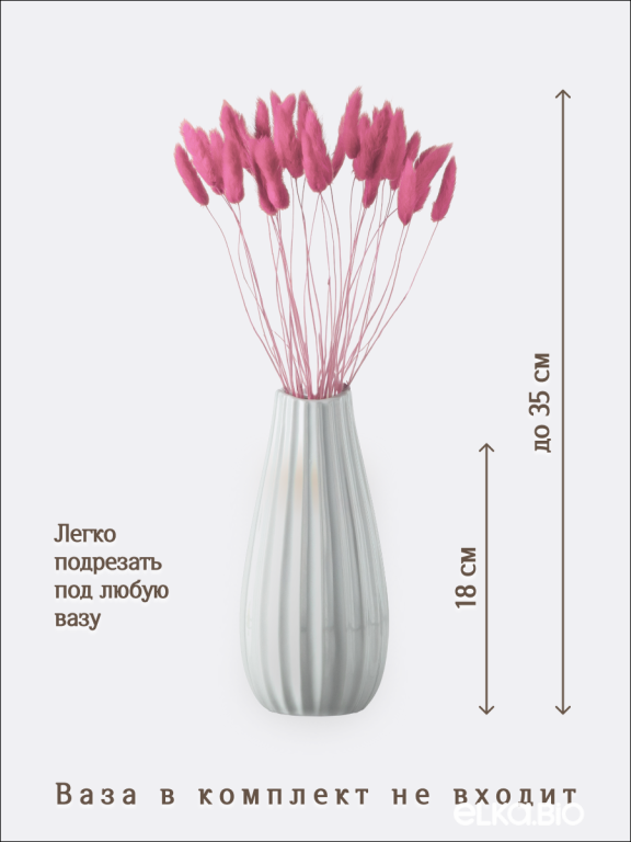 Лагурус розово-сиреневый 30 шт. Высший сорт. Высота 25-35 см М479