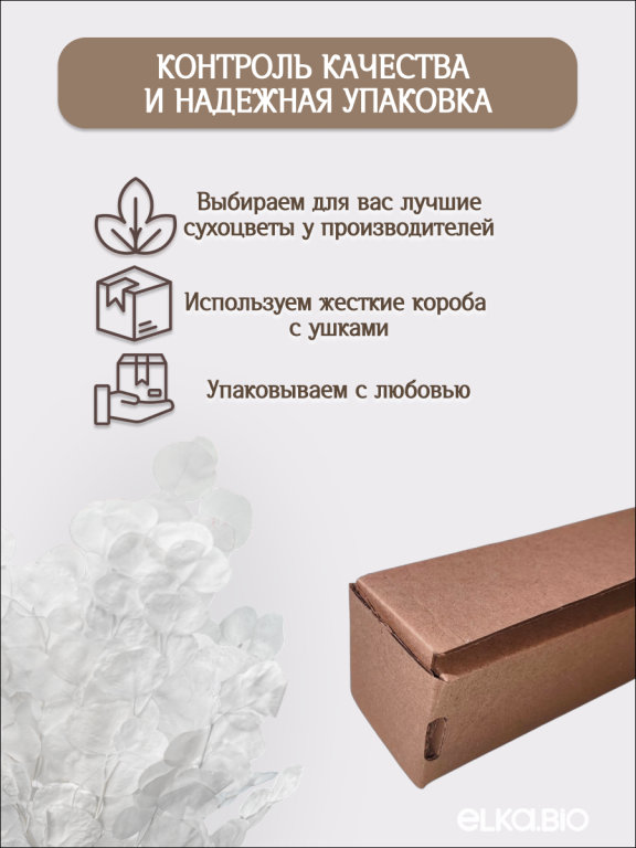 Эвкалипт Популус белый 180г Высший сорт М683