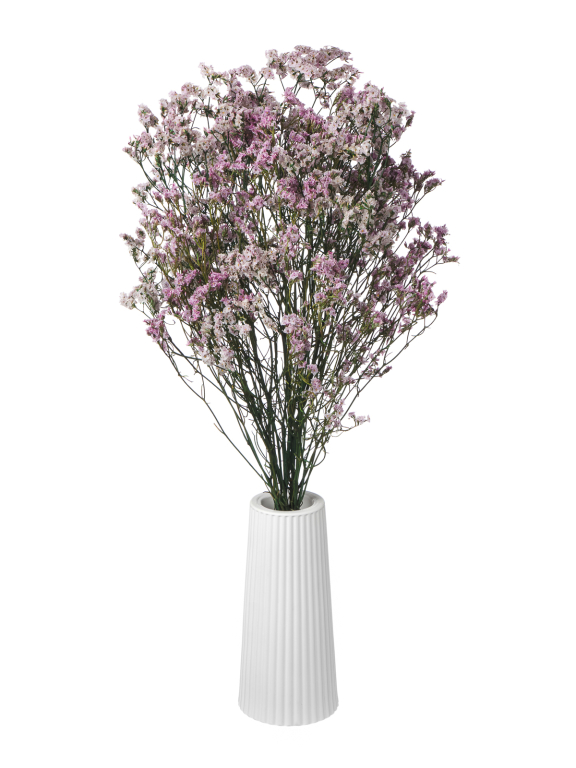 Цветы лимониума сиреневые (80г) М221 Цветы лимониума сиреневые (80г) М221