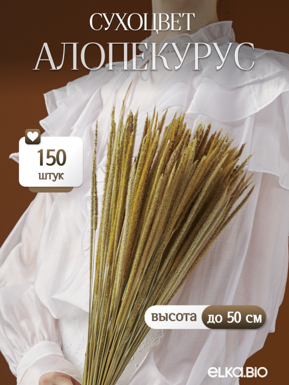 Алопекурус (тимофеевка) натуральный 150 шт. Высший сорт - до 50 см  М451